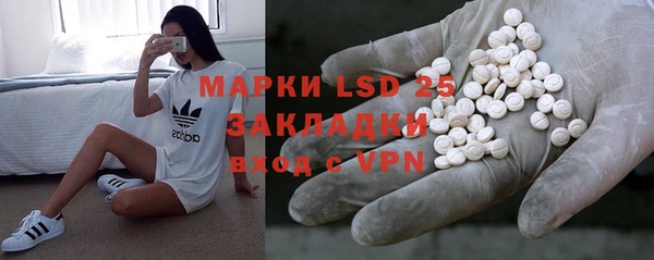 прущие грибы Аркадак