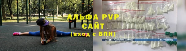 прущие грибы Аркадак