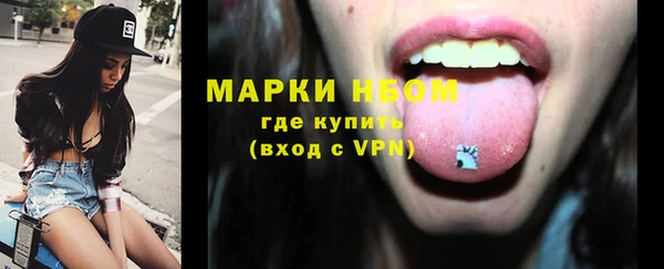 прущие грибы Аркадак