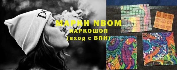 прущие грибы Аркадак
