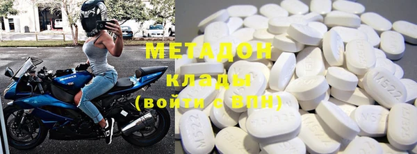 прущие грибы Аркадак