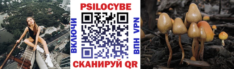 Галлюциногенные грибы MAGIC MUSHROOMS  что такое   Тогучин 